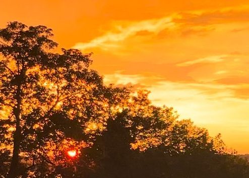 Company Programmes, Executive Coaching, Mentoring, Physical Training, Aikido, Kick-Boxing