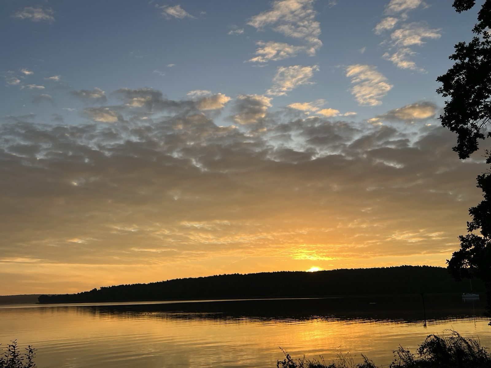 Holistic Training Background