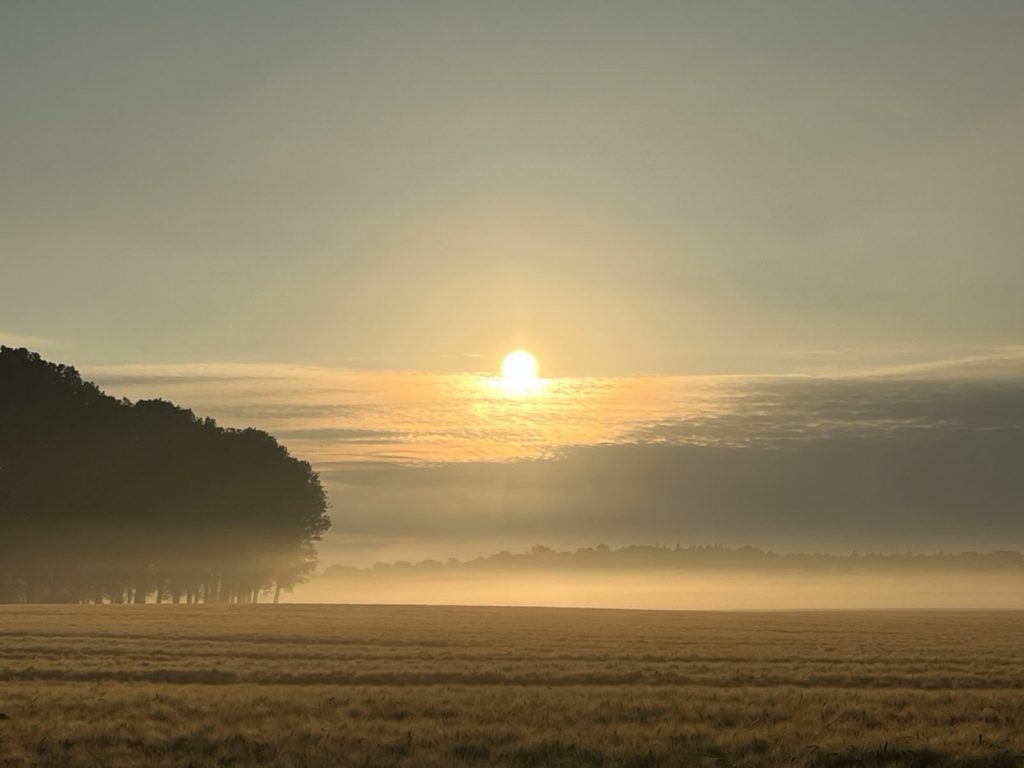 Holistic Training Background