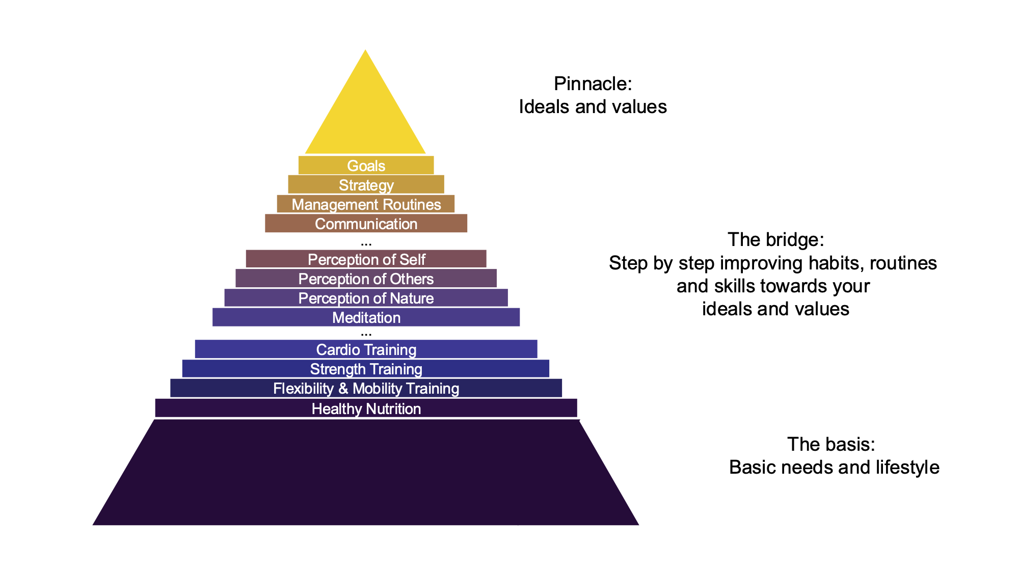 Holistic Training Background