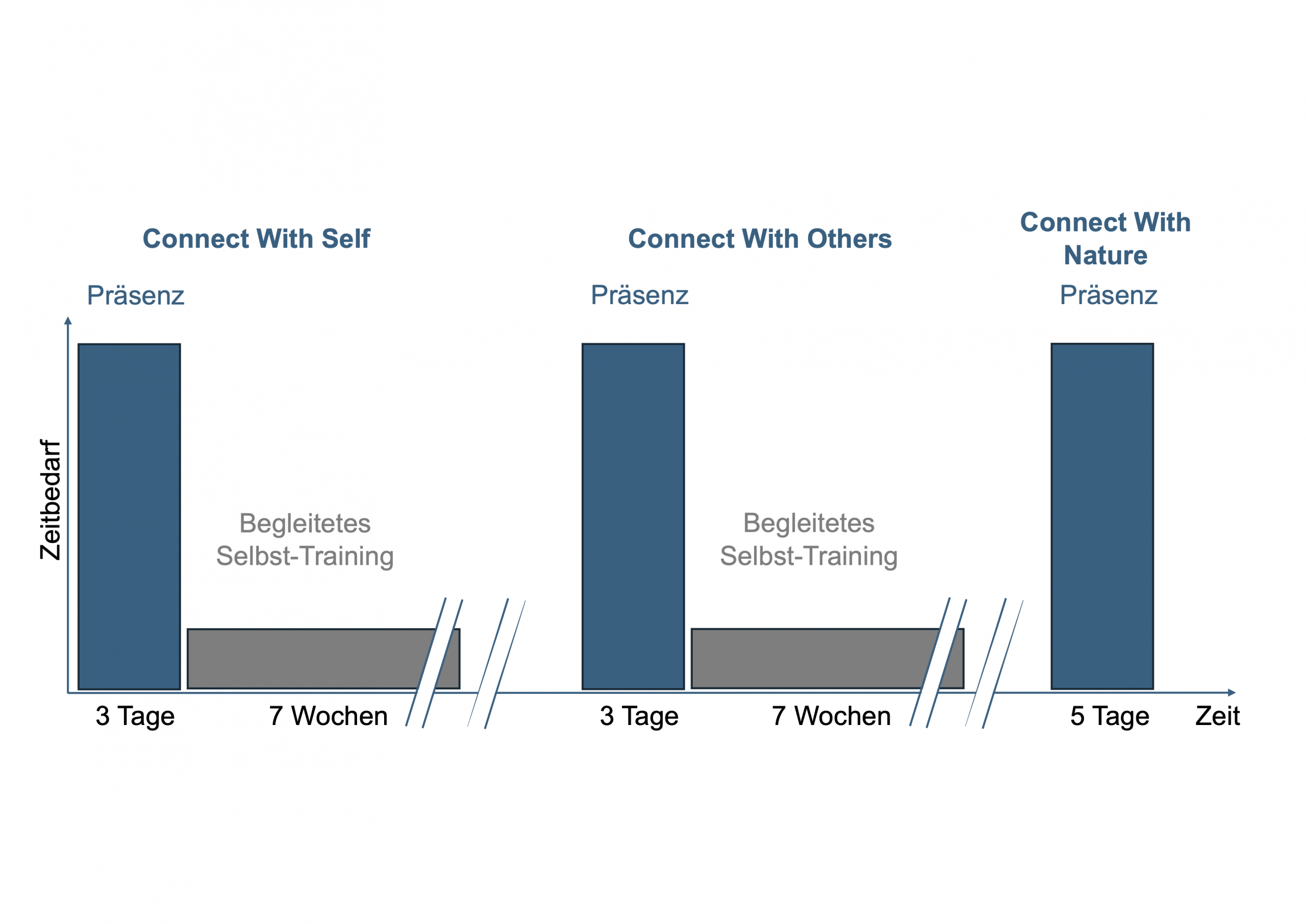 Holistic Training Background