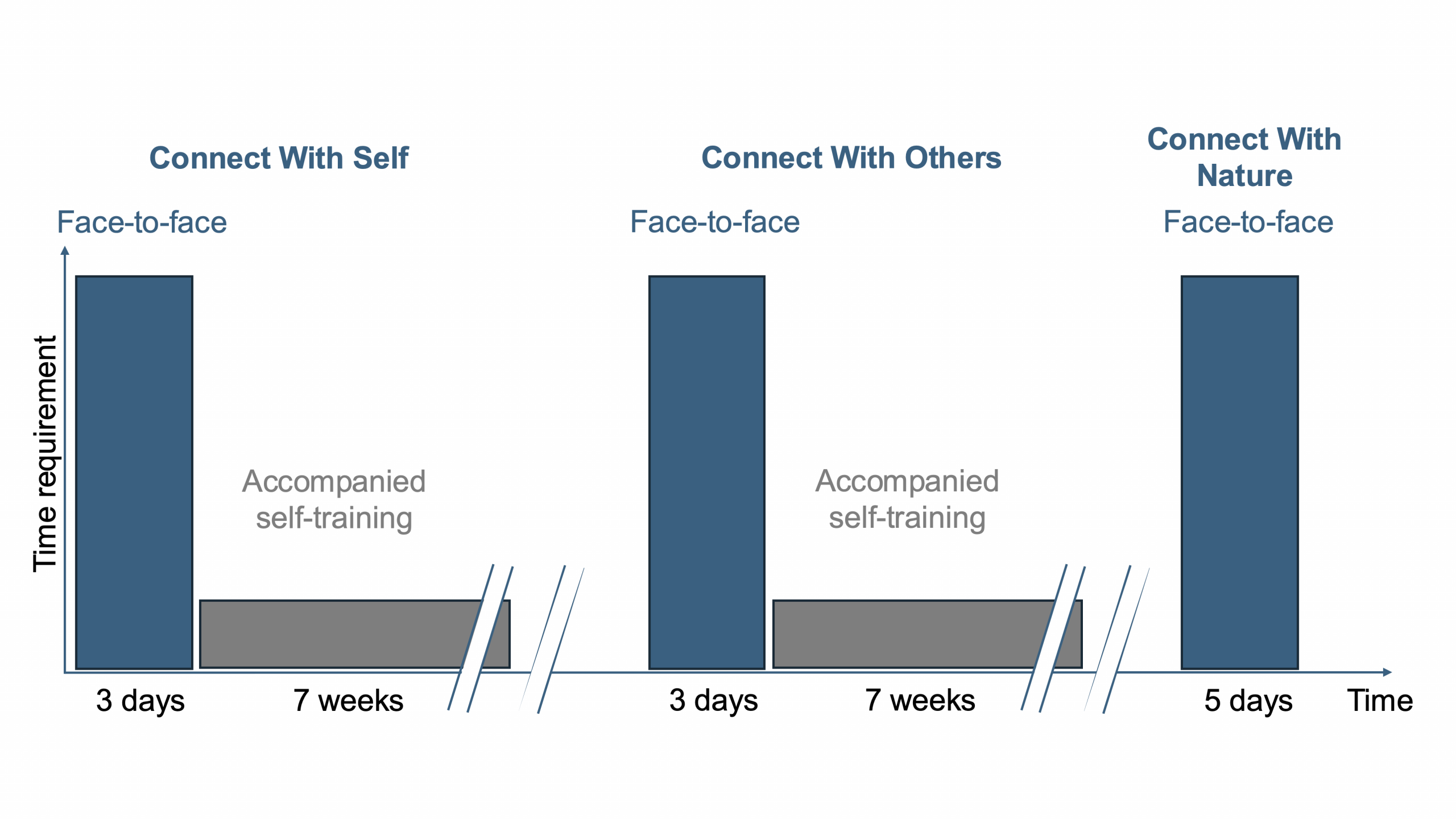 Holistic Training Background