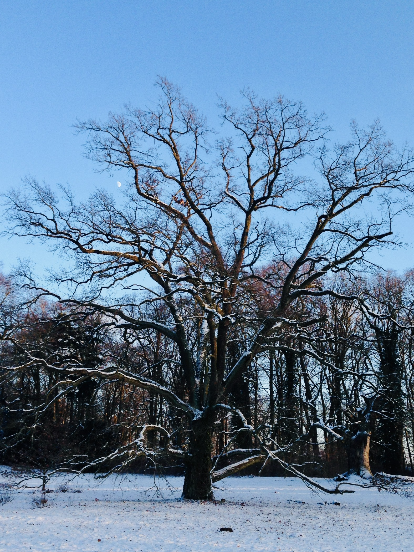 Group dynamics and high performing teams